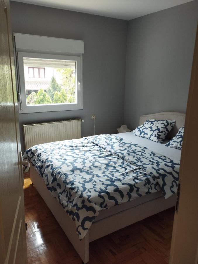 Apartman Aleksandra Semêndria Exterior foto